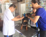 Phẫu thuật thẩm mỹ