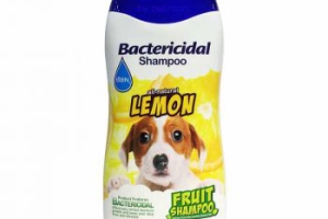 DẦU GỘI Fluffy TRÁI CÂY CHÓ BỊ VIÊM DA