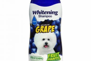 DẦU GỘI Fluffy TRÁI CÂY CHÓ LÔNG TRẮNG