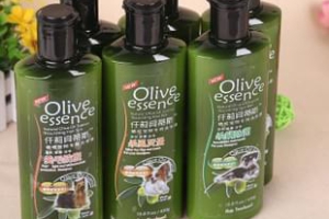 DẦU GỘI OLIU MƯỢT LÔNG CHÓ MÈO