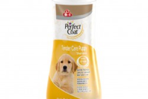 DẦU GỘI PERFECT CHÓ CON