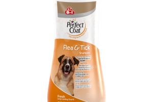 DẦU GỘI PERFECT CHÓ LỚN