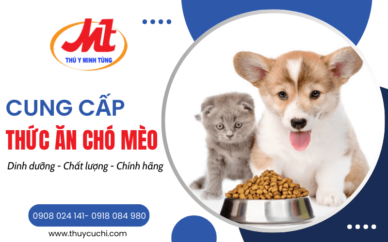 thức ăn chó mèo